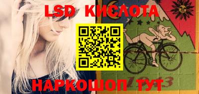 стафф Можга