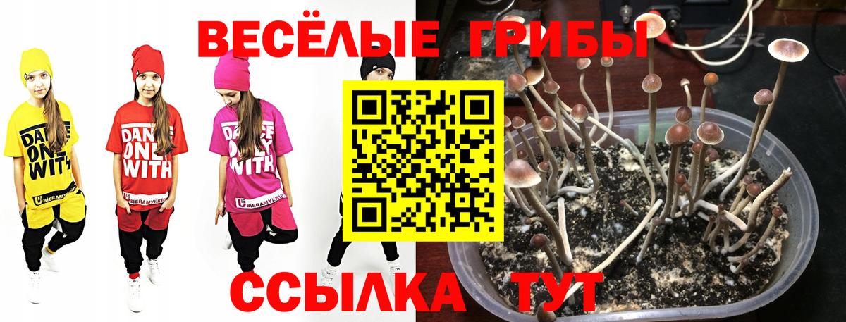 Трёхгорный  Галлюциногенные грибы мухоморы  Вход с VPN 