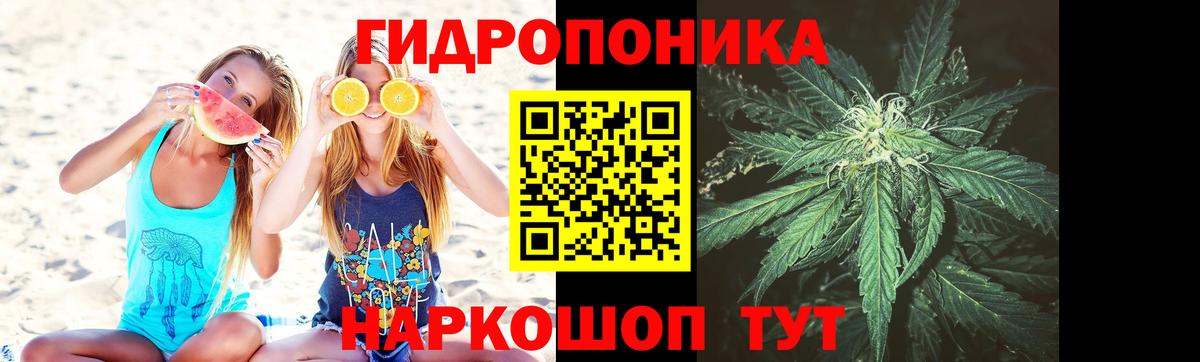 Канабис White Widow  МАРИХУАНА Ganja  Трёхгорный  МАРИХУАНА Amnesia  Вход с VPN 